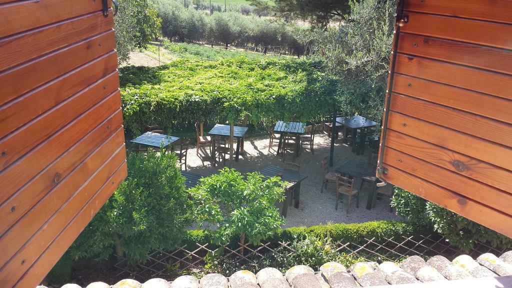 Bed and Breakfast Agriturismo Col Morino Пинето Номер фото